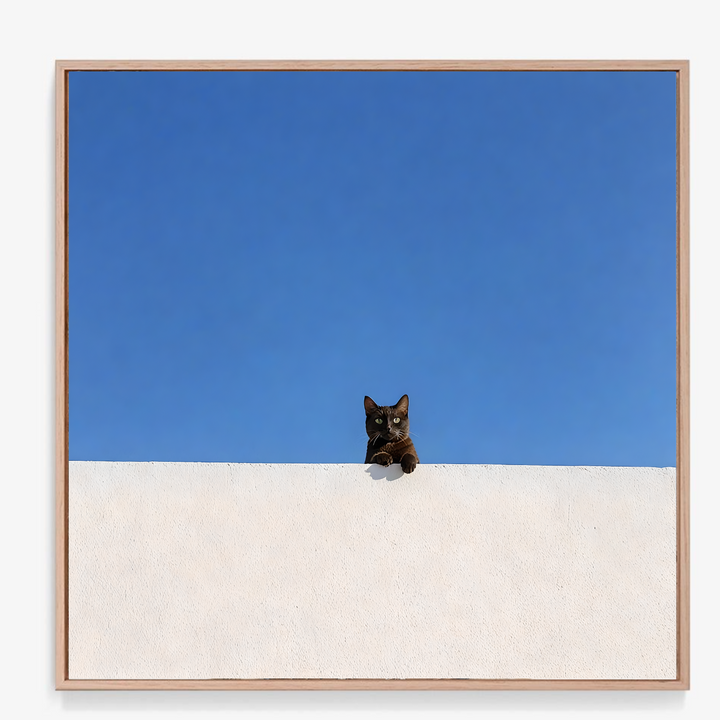 #057 Perched in Contrast