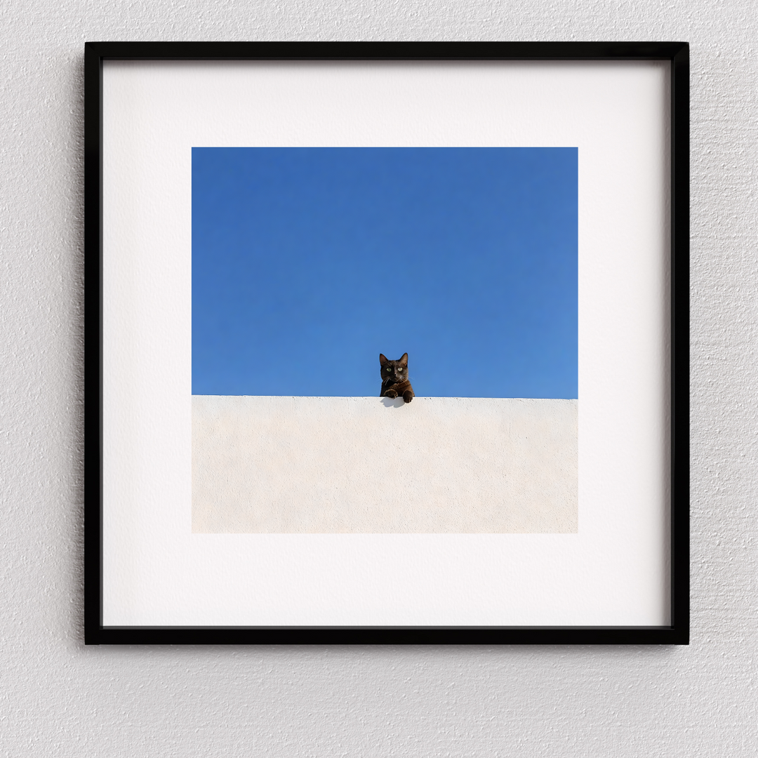 #057 Perched in Contrast