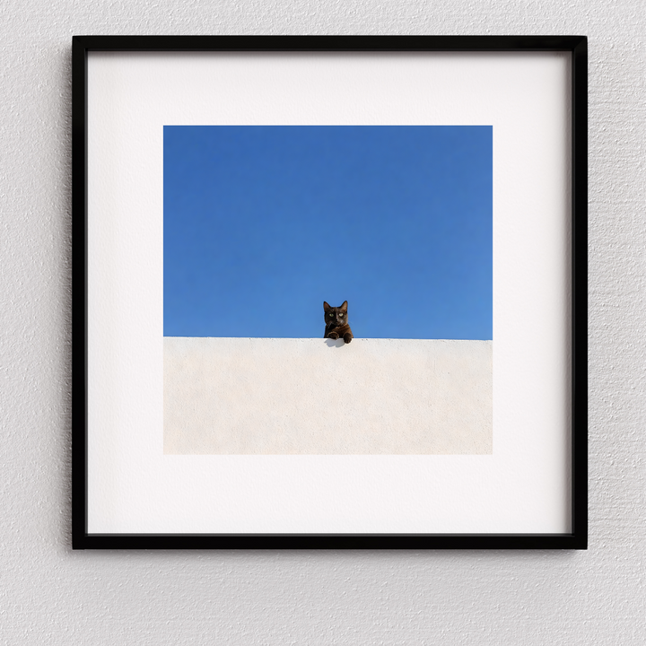 #057 Perched in Contrast