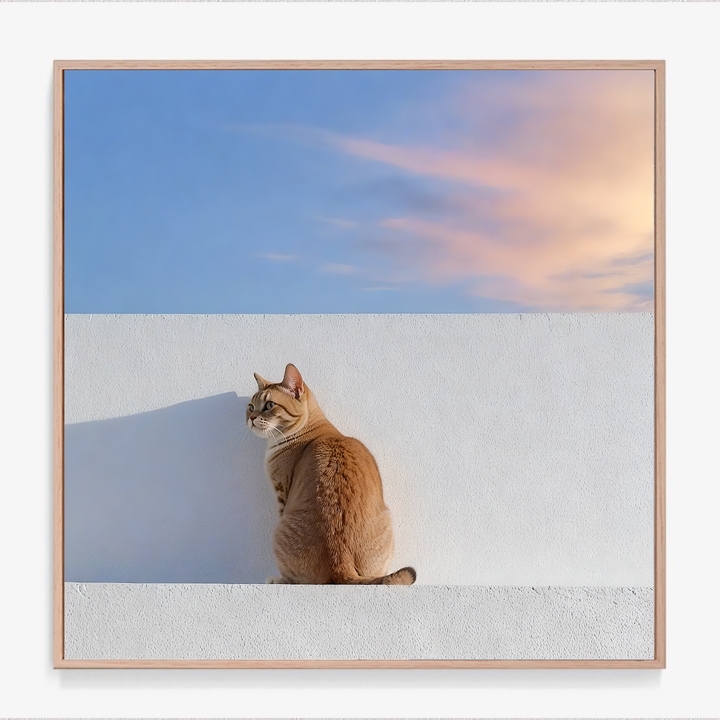 #051 Feline in Full Glow